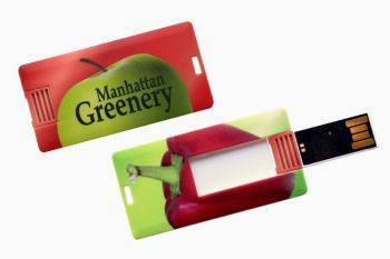 Memoria USB 418 Tarjeta Mini