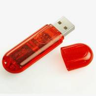 Memoria USB Business 118