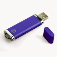 Memoria USB Business 101
